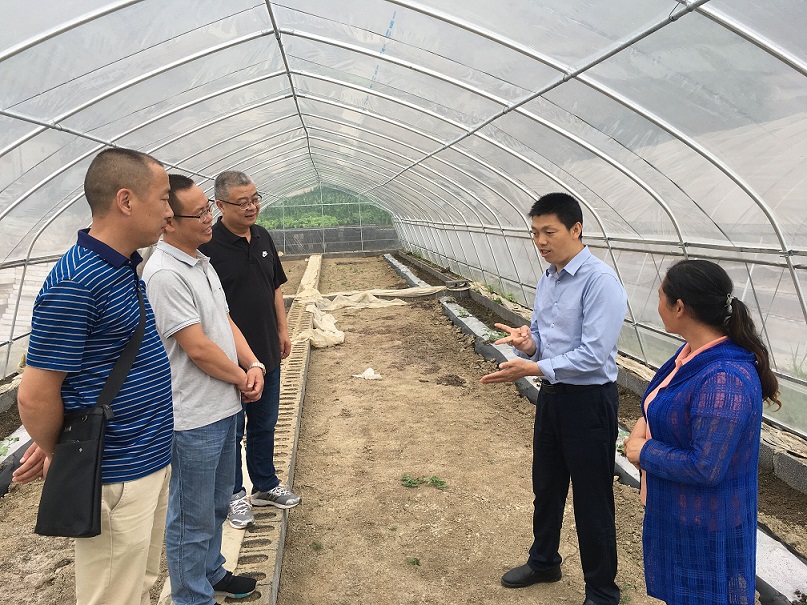 合作社大棚.jpg