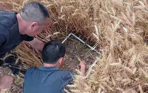 微信图片_20210612163456.jpg