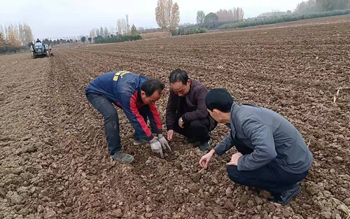 微信图片_20211103165641_副本.jpg