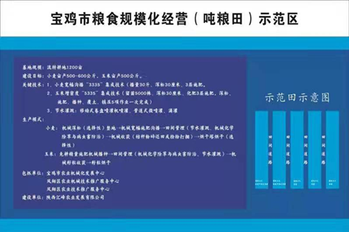 图片1_副本.png