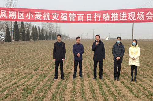 图片1_副本.png