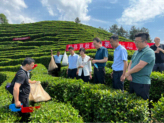 image002.gif