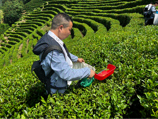image004.gif
