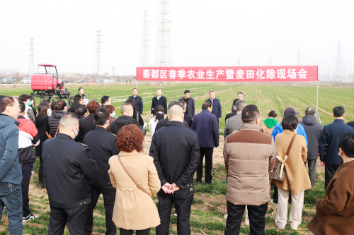 化除现场会1.jpg
