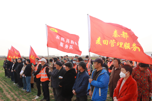 化除现场会2.jpg