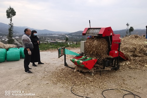 饲草加工.jpg