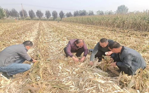 图片1.jpg
