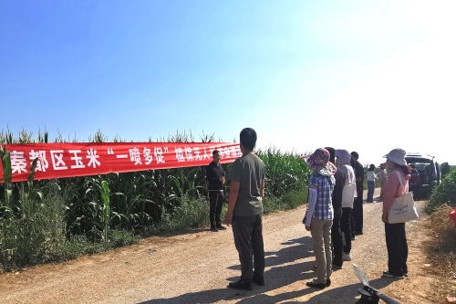 现场会.jpg
