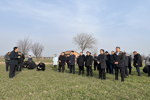 图片3_副本.png