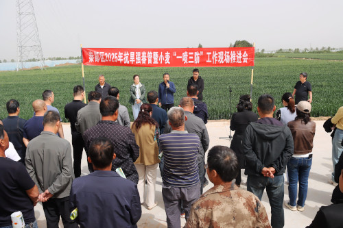 会议现场.jpg