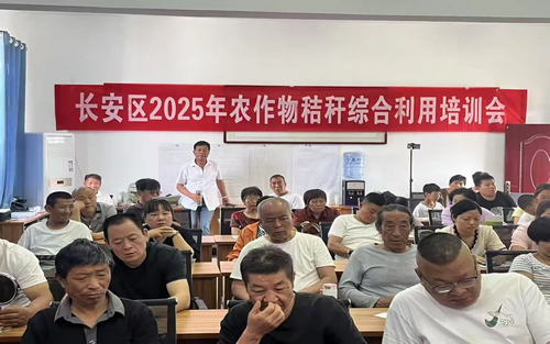 认真听讲.png