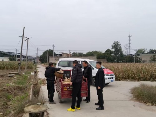 图片2.jpg 图片2.jpg