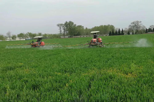 武功.jpg 武功.jpg