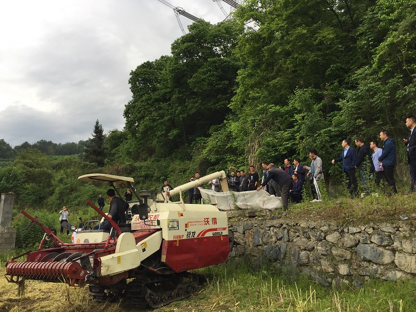 5d844a2c410fb5d8d3307ac5e85b225.jpg 5d844a2c410fb5d8d3307ac5e85b225.jpg