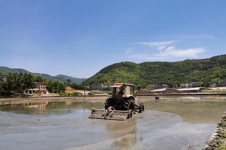 照片3.jpg 照片3.jpg