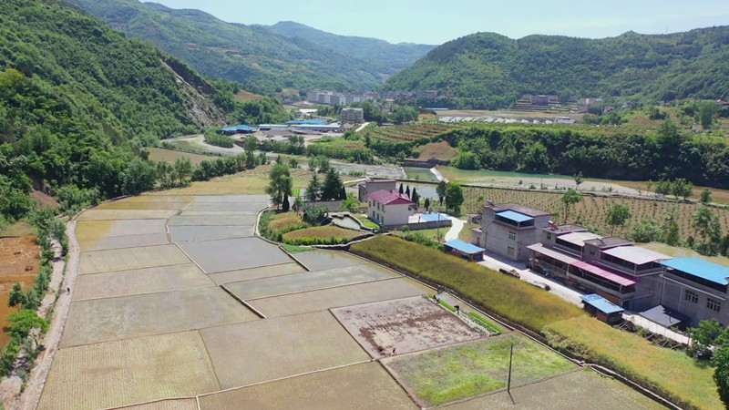 照片1.jpg 照片1.jpg