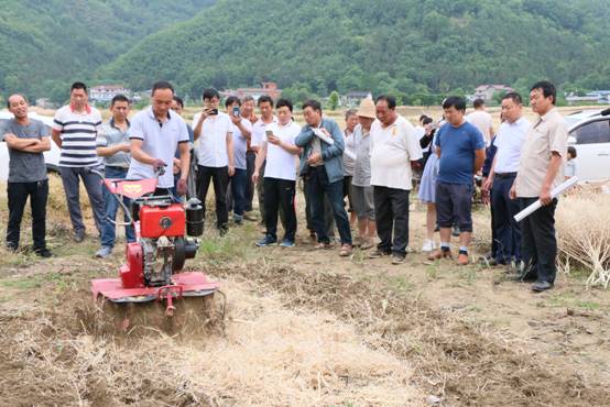 image004.jpg image004.jpg