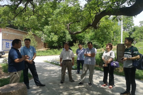 3 (定制).jpg 3 (定制).jpg