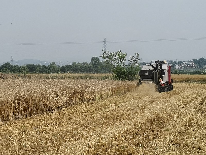 IMG_20200526_105733.jpg IMG_20200526_105733.jpg