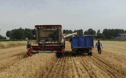 279def16f084496d633d1caa7dd64c5.jpg 279def16f084496d633d1caa7dd64c5.jpg