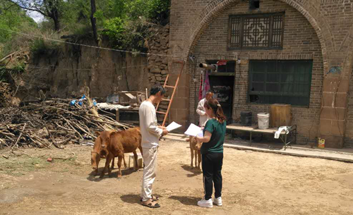 图片1.png 图片1.png