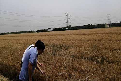 6.4高陵信息2.jpg 6.4高陵信息2.jpg