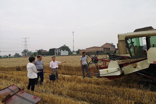 2_副本.jpg 2_副本.jpg