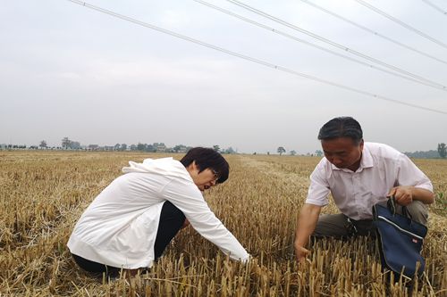 1_副本.jpg 1_副本.jpg