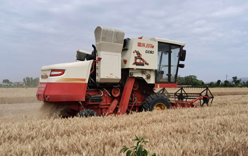 管理科.png 管理科.png