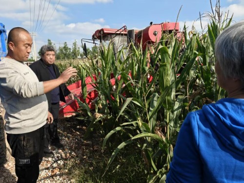 图片1.jpg 图片1.jpg