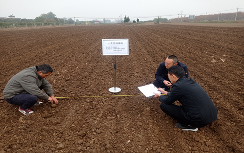 图片2.jpg 图片2.jpg