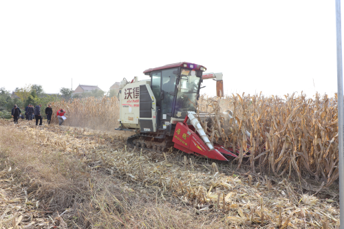 12182816yuca.png 12182816yuca.png